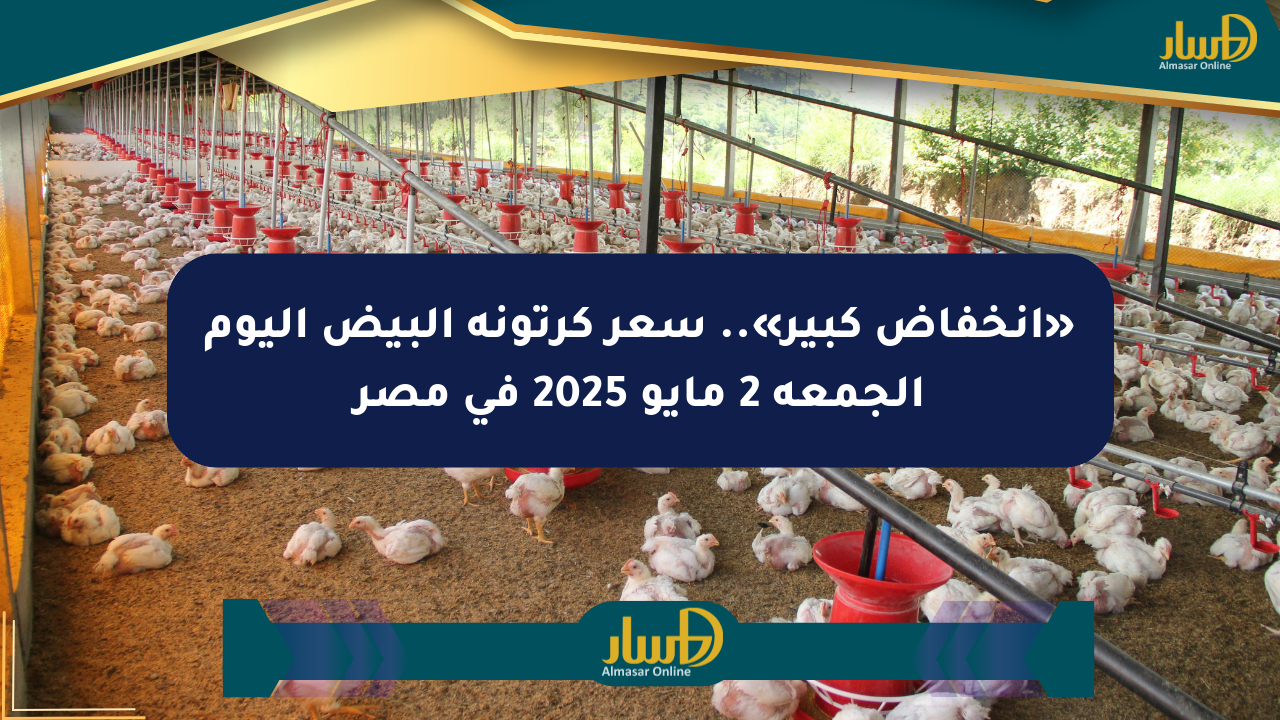«انخفاض كبير».. سعر كرتونة البيض اليوم الجمعة 2 مايو 2025 في مصر